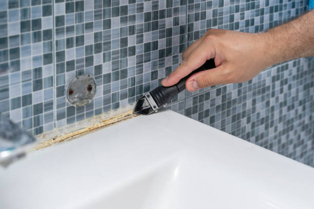 Best Office Mold Removal Services  in Rush City, MN
