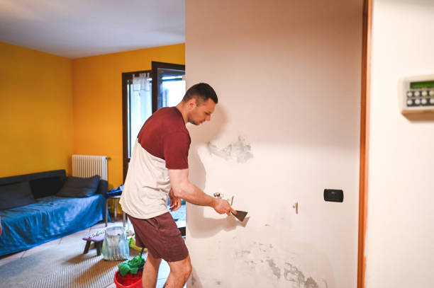 Best Black Mold Removal  in Rush City, MN